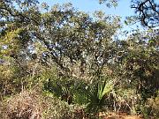 St. Augustine - Jan 2012 120